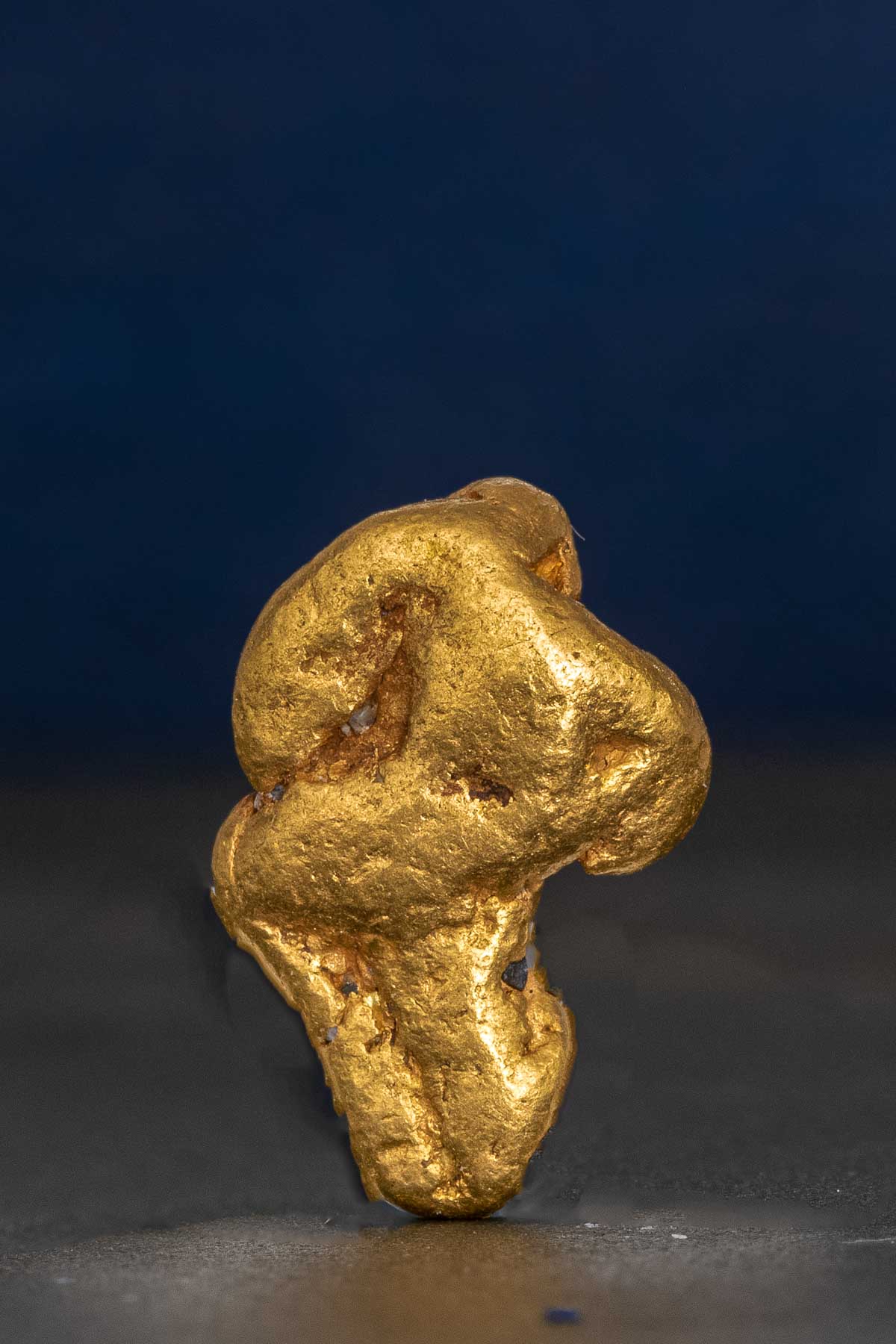 Natural California Gold Nugget with a Bend - 2.73 grams